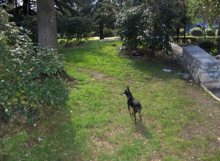 Photobucket - Video and Image Hosting