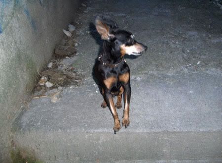 Photobucket - Video and Image Hosting