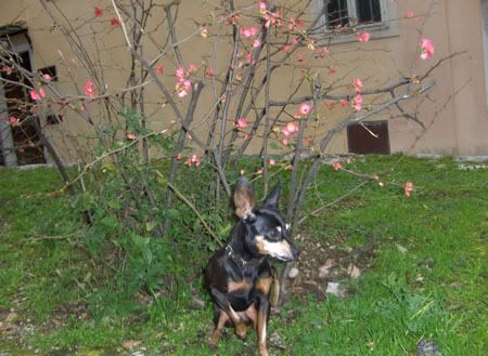 Photobucket - Video and Image Hosting