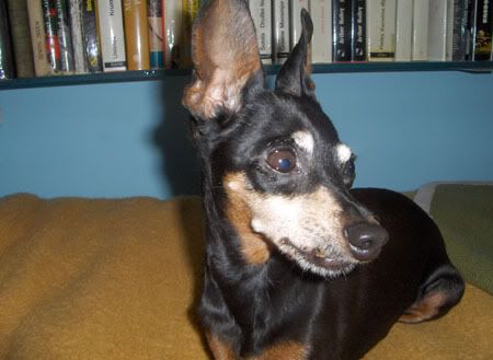 Photo Sharing and Video Hosting at Photobucket