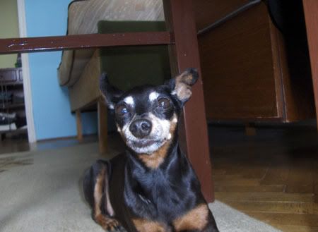 Photo Sharing and Video Hosting at Photobucket