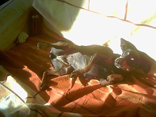 Photo Sharing and Video Hosting at Photobucket