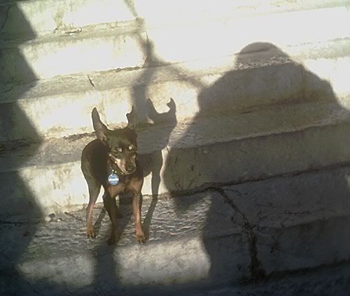 Photo Sharing and Video Hosting at Photobucket