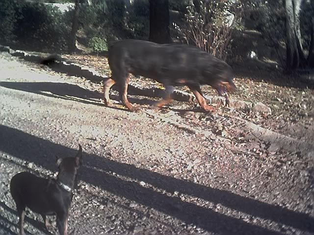 Photo Sharing and Video Hosting at Photobucket