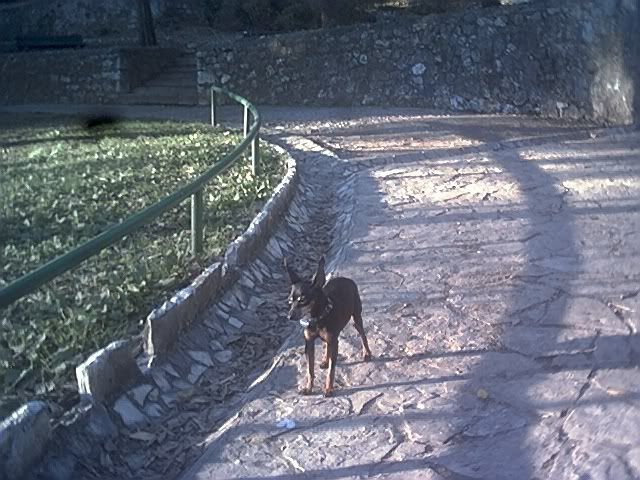 Photo Sharing and Video Hosting at Photobucket