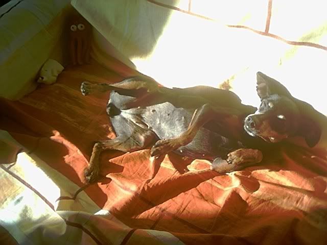 Photo Sharing and Video Hosting at Photobucket