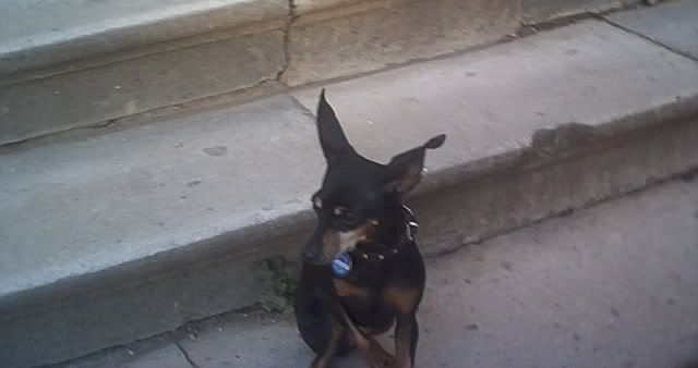 Photo Sharing and Video Hosting at Photobucket