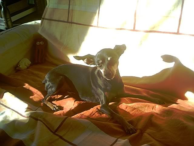 Photo Sharing and Video Hosting at Photobucket