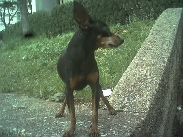 Photo Sharing and Video Hosting at Photobucket