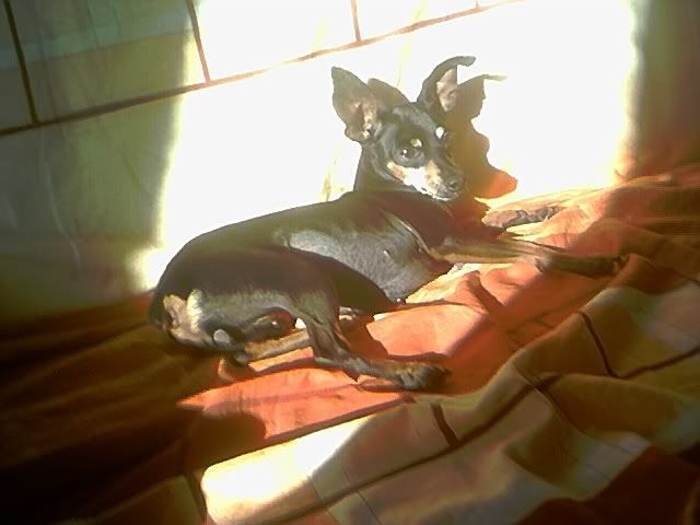 Photo Sharing and Video Hosting at Photobucket