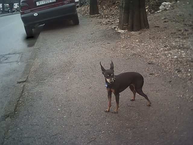 Photo Sharing and Video Hosting at Photobucket