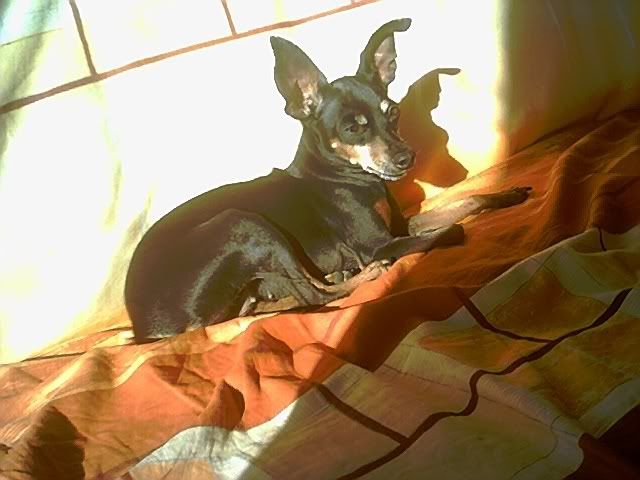 Photo Sharing and Video Hosting at Photobucket