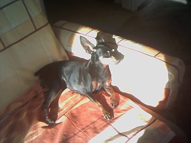 Photo Sharing and Video Hosting at Photobucket