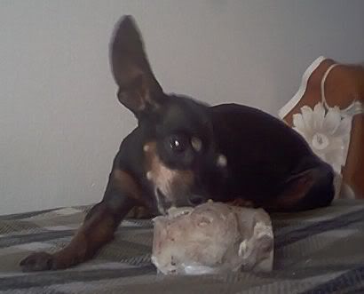 Photo Sharing and Video Hosting at Photobucket