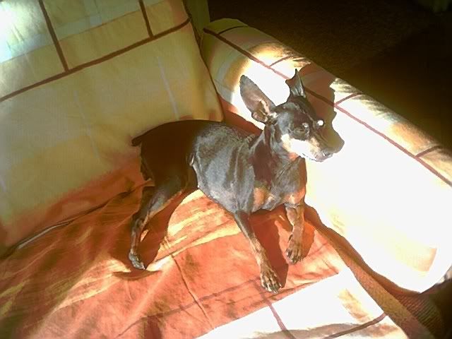 Photo Sharing and Video Hosting at Photobucket