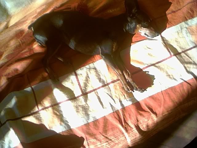 Photo Sharing and Video Hosting at Photobucket