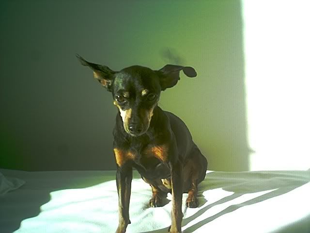 Photo Sharing and Video Hosting at Photobucket