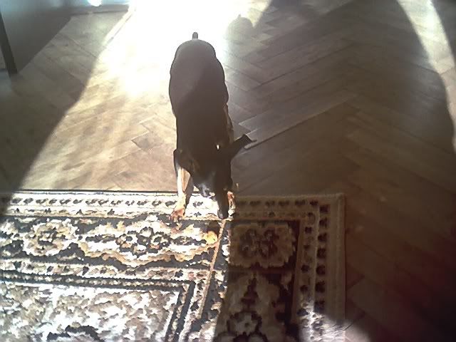 Photo Sharing and Video Hosting at Photobucket