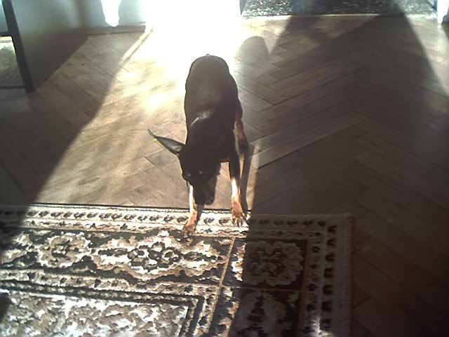 Photo Sharing and Video Hosting at Photobucket