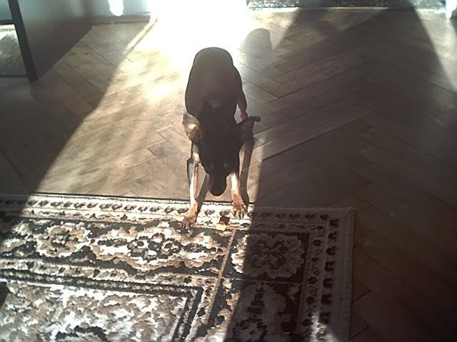 Photo Sharing and Video Hosting at Photobucket