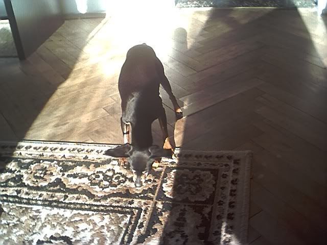 Photo Sharing and Video Hosting at Photobucket