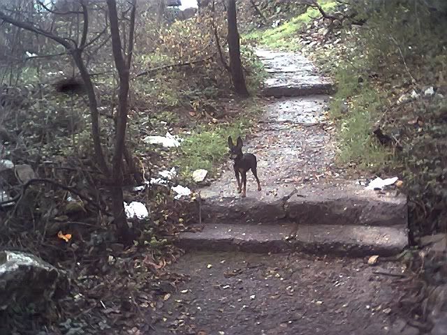 Photo Sharing and Video Hosting at Photobucket