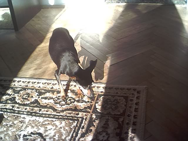 Photo Sharing and Video Hosting at Photobucket