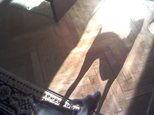 Photo Sharing and Video Hosting at Photobucket