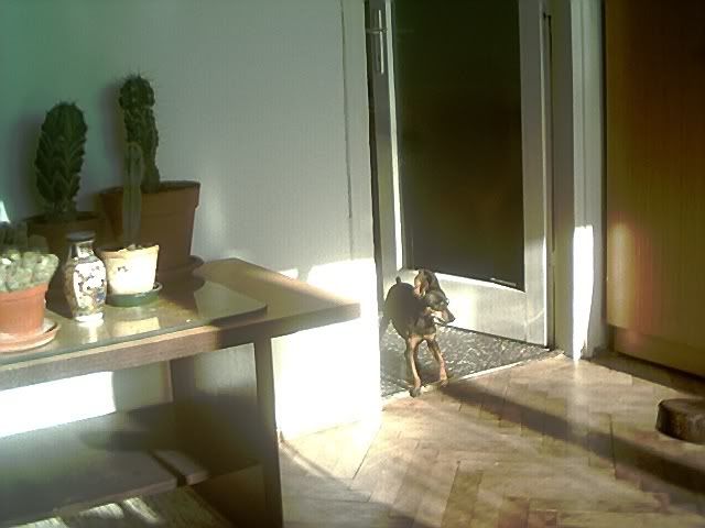 Photo Sharing and Video Hosting at Photobucket