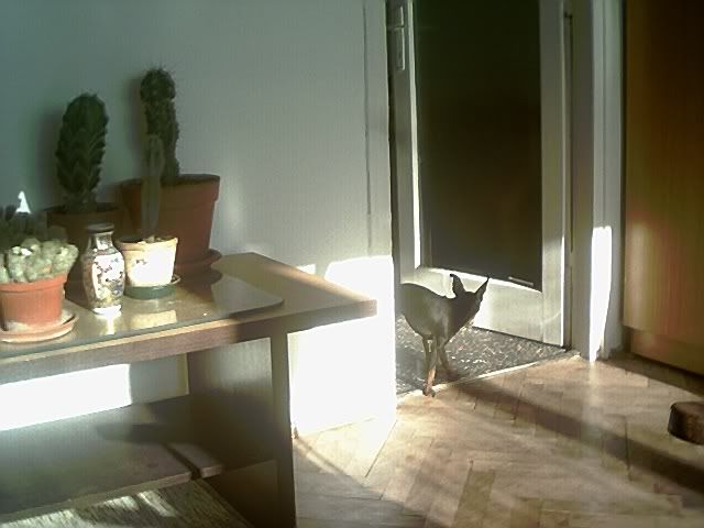 Photo Sharing and Video Hosting at Photobucket