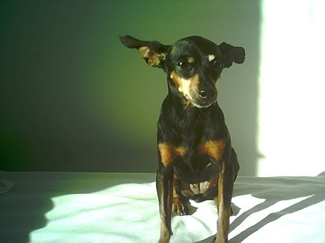 Photo Sharing and Video Hosting at Photobucket