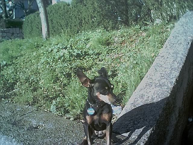 Photo Sharing and Video Hosting at Photobucket