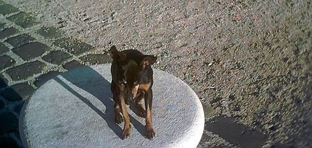 Photo Sharing and Video Hosting at Photobucket