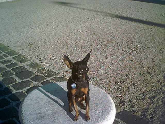 Photo Sharing and Video Hosting at Photobucket