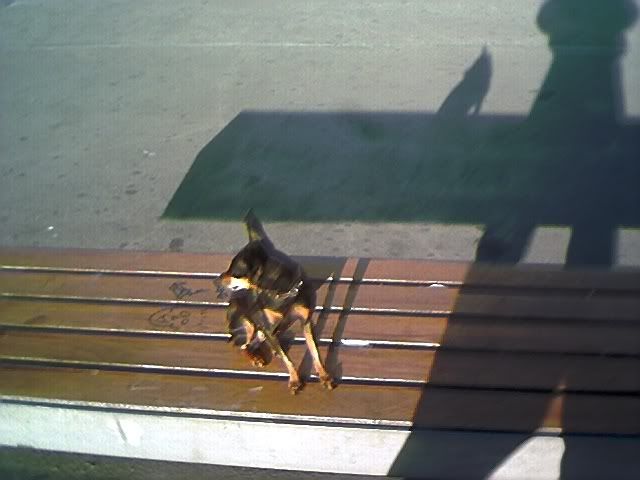 Photo Sharing and Video Hosting at Photobucket