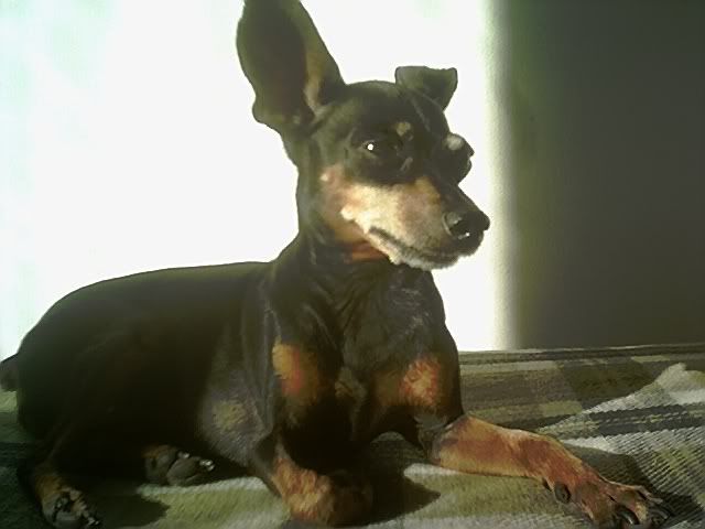 Photo Sharing and Video Hosting at Photobucket