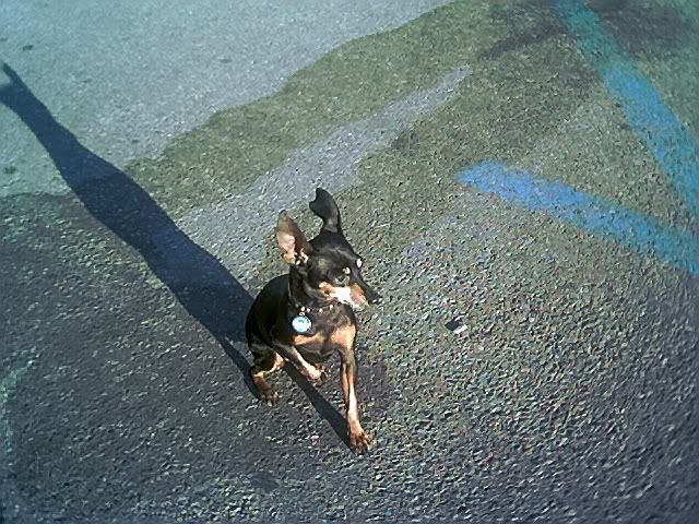 Photo Sharing and Video Hosting at Photobucket