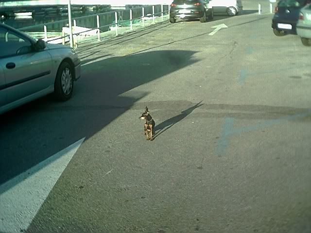 Photo Sharing and Video Hosting at Photobucket