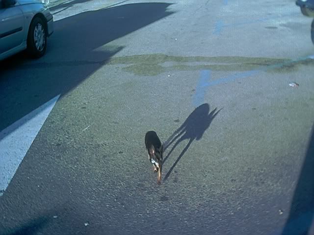 Photo Sharing and Video Hosting at Photobucket