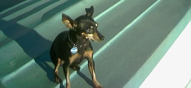 Photo Sharing and Video Hosting at Photobucket