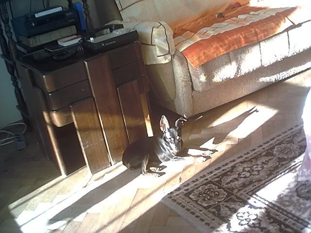 Photo Sharing and Video Hosting at Photobucket