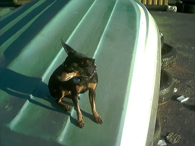 Photo Sharing and Video Hosting at Photobucket