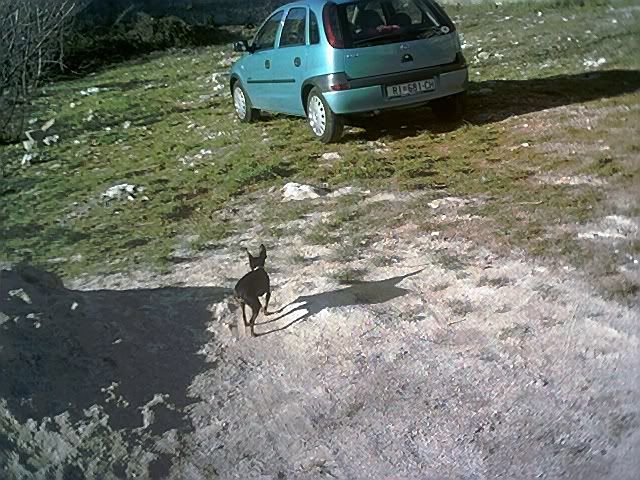 Photo Sharing and Video Hosting at Photobucket