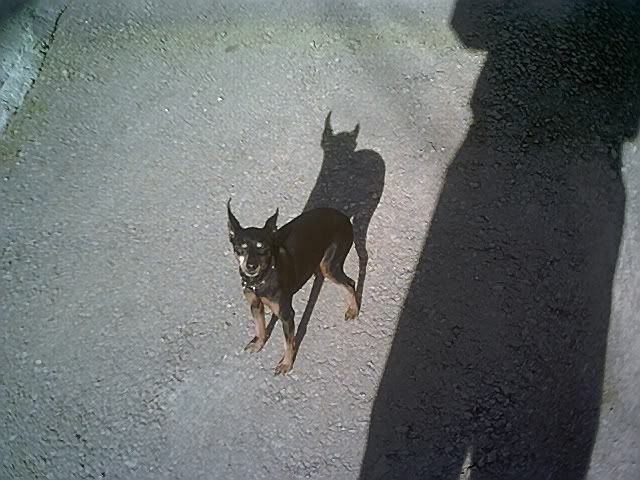 Photo Sharing and Video Hosting at Photobucket