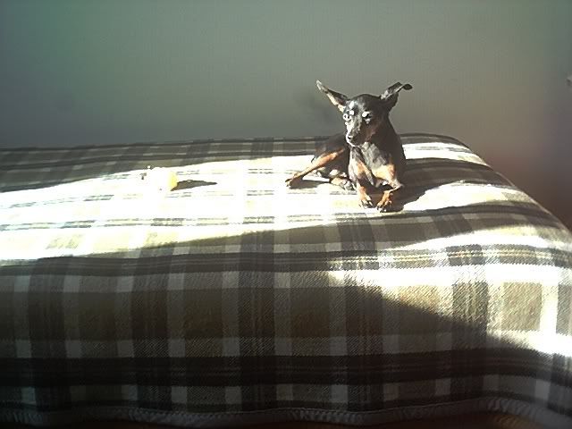 Photo Sharing and Video Hosting at Photobucket