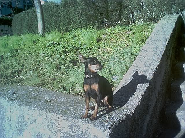 Photo Sharing and Video Hosting at Photobucket