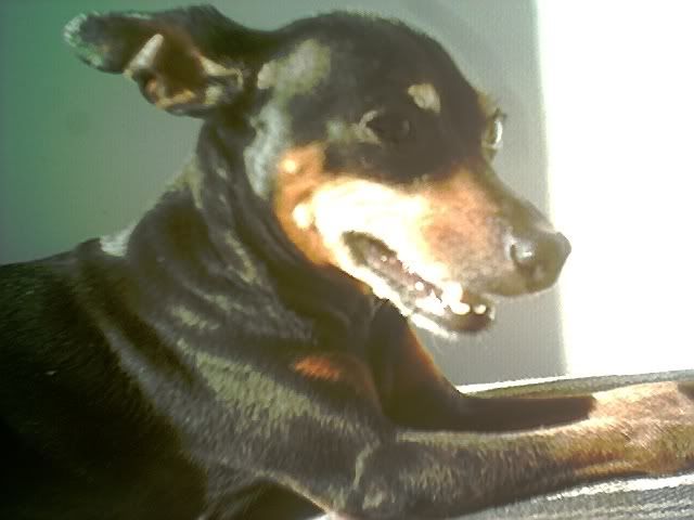 Photo Sharing and Video Hosting at Photobucket