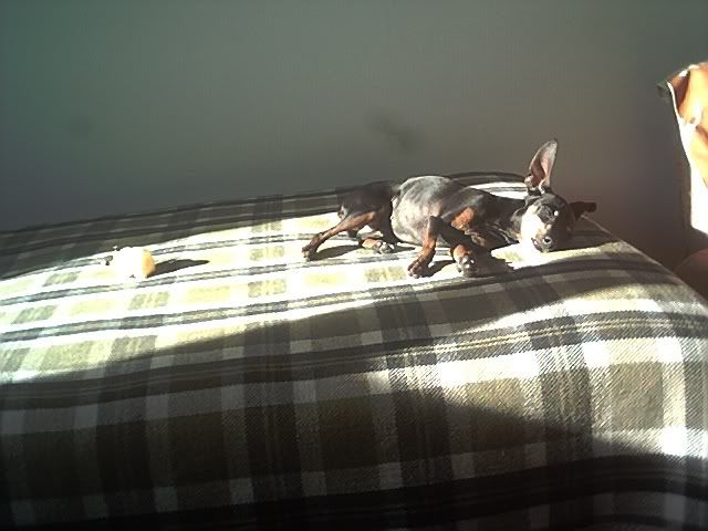 Photo Sharing and Video Hosting at Photobucket