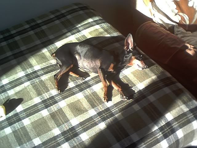 Photo Sharing and Video Hosting at Photobucket