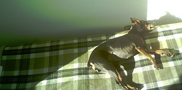 Photo Sharing and Video Hosting at Photobucket